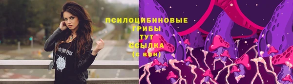 марки lsd Ельня